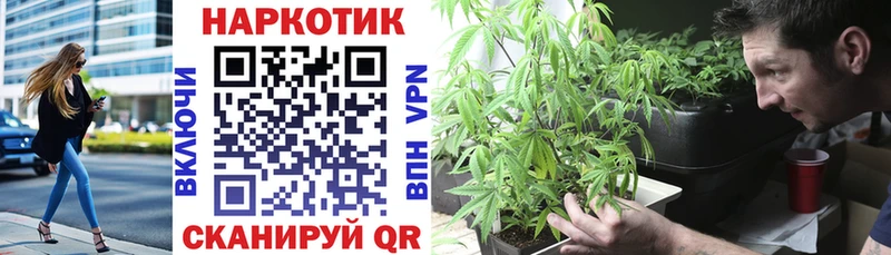 Амфетамин Шенкурск