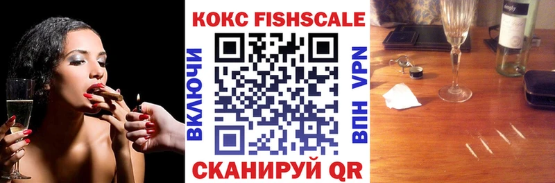 КОКАИН FishScale  Купить закладки  Шенкурск 
