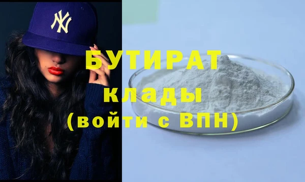 шишки Надым