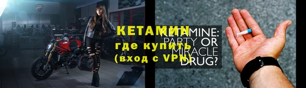 шишки Надым