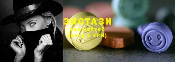 шишки Надым