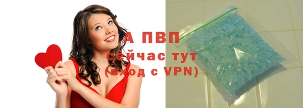 шишки Надым