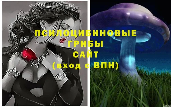 стаф Нефтекумск
