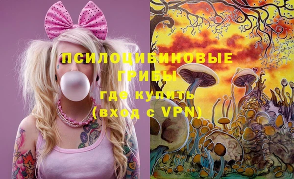 шишки Надым