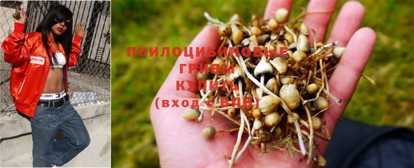 стаф Нефтекумск