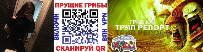 Галлюциногенные грибы Magic Shrooms  Купить закладки  Шенкурск 